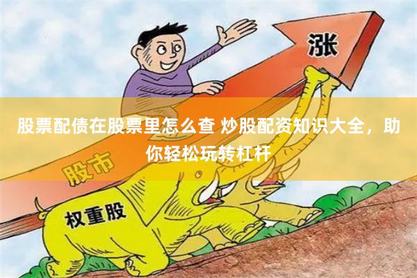 股票配债在股票里怎么查 炒股配资知识大全，助你轻松玩转杠杆